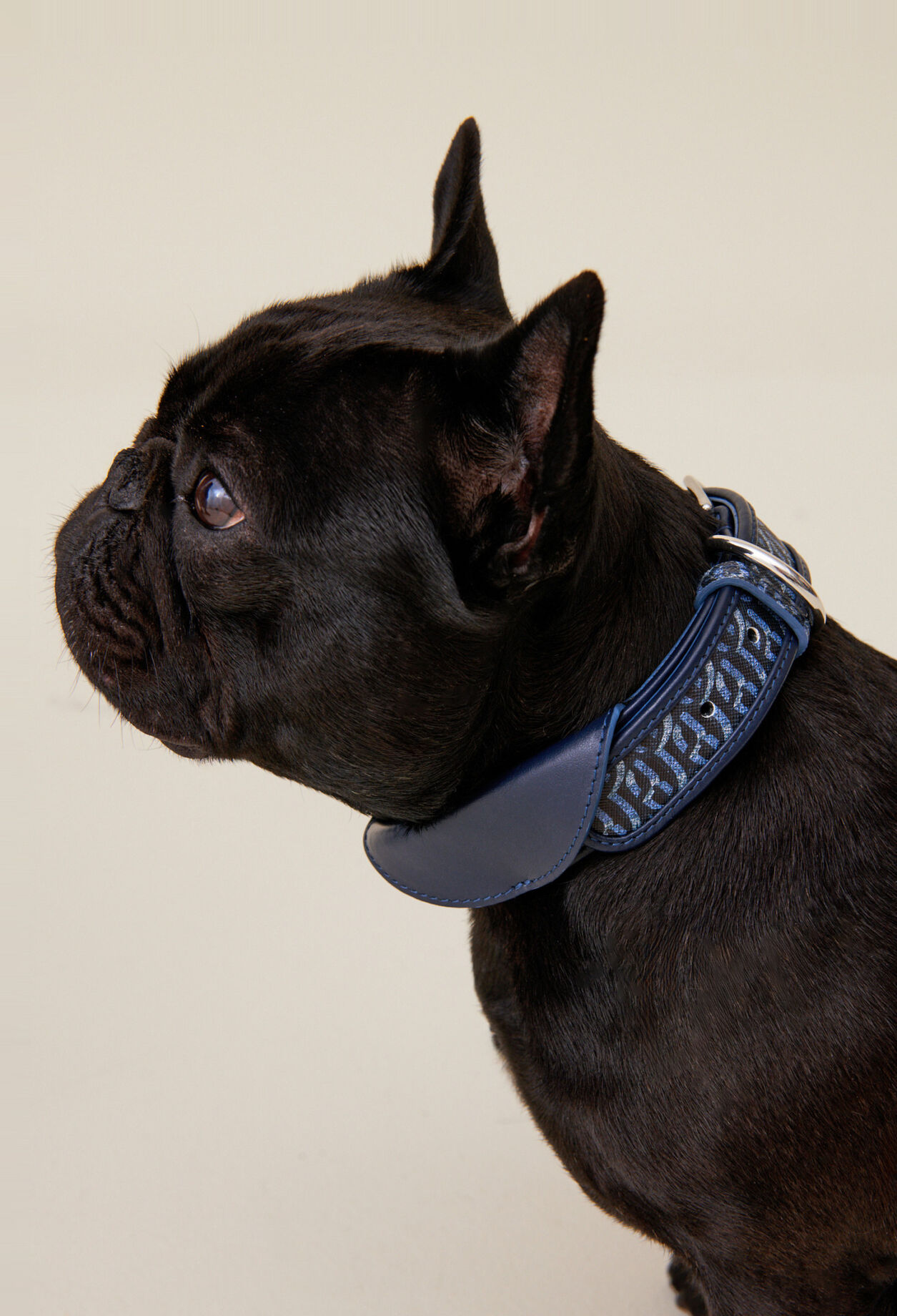 Collier chien monogramme CP