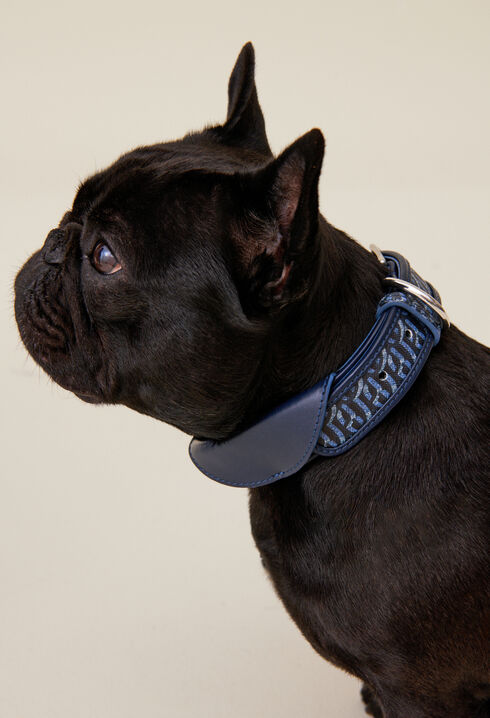Collier chien monogramme CP